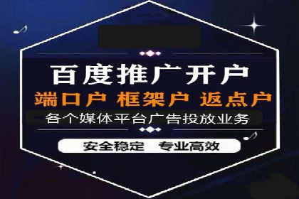 百度推广效果案例解析