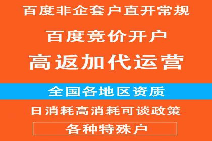 百度竞价赚钱技巧：案例分析